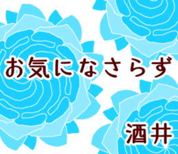 58312495