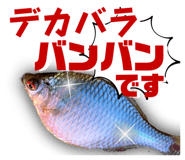 583179282