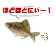 583179283