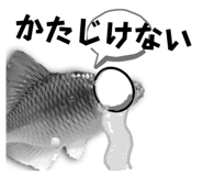 583179287