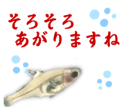 583179301