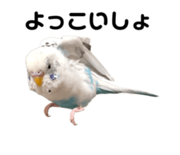 583194505