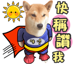 58323435