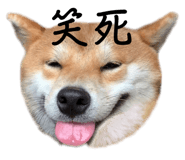 583268014