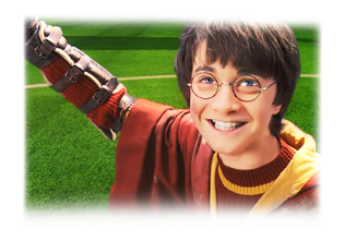 ลายที่ 13