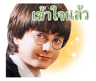 ลายที่ 17