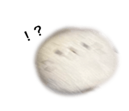 583333204