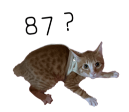583342364