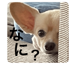 583344241