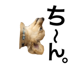 583344242
