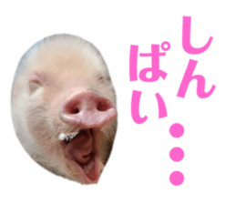 583348034