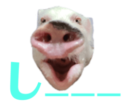 583348055