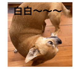 583423374