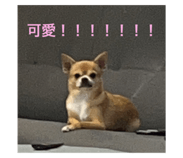 583423380