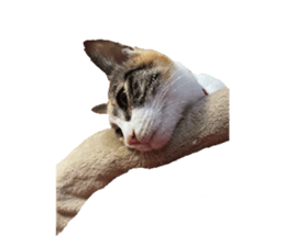 583436410