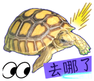 583474188