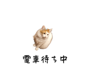 583568481