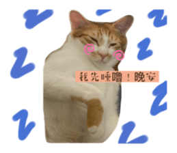 583641149