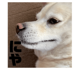 583696674
