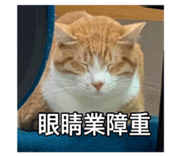 583699659