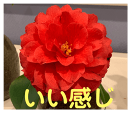 583700639