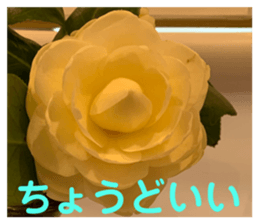 583700654