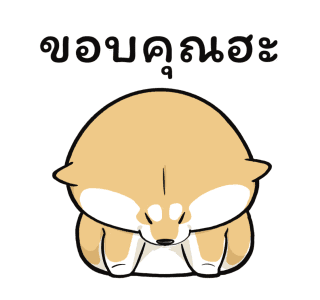 หมาน้อยโกจิ มาแล้ว! รูปที่ 9