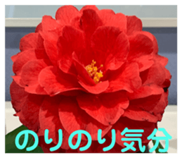 583712030