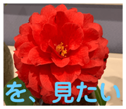 583712050