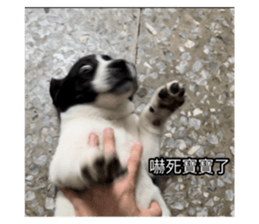 583733328