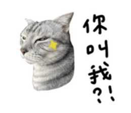583754835