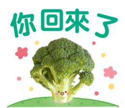 583869685