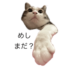 583885858