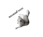 583936636