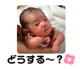 583950941