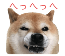 583951319