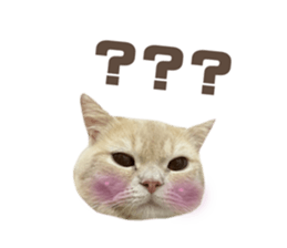 584039149