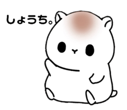 584053009