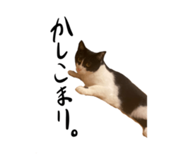 584081422