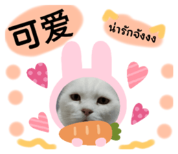 584099569