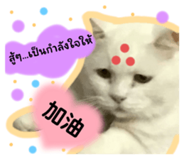 584099576