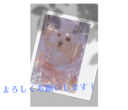 584103670