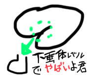 584187275