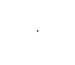 584193374