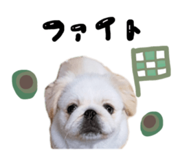 584195997
