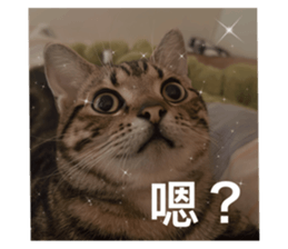 584229639