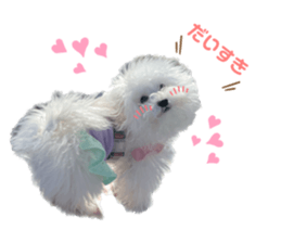 584240105