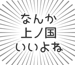 584252702