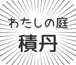 584252841