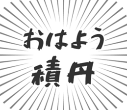 584252847